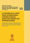 Research paper thumbnail of La función de la corte penal internacional: Visiones plurales desde una perspectiva interdisciplinar: Volumen Especial por el X Aniversario del Instituto Ibero-Americano de la Haya para la Paz, los Derechos Humanos y la Justicia Internacional