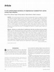 Research paper thumbnail of In vitro antimicrobial resistance of staphylococci isolated from canine urinary tract infection