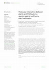 Research paper thumbnail of Molecular interaction between plants and Trichoderma species against soil-borne plant pathogens