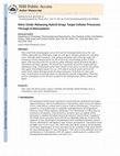 Research paper thumbnail of Nitric Oxide−Releasing Hybrid Drugs Target Cellular Processes Through S-Nitrosylation