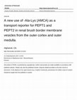 Research paper thumbnail of A new use of β-Ala-Lys (AMCA) as a transport reporter for PEPT1 and PEPT2 in renal brush border membrane vesicles from the outer cortex and outer medulla