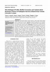 Research paper thumbnail of Microbiological Profile, Biofilm Formation and Antimicrobial Resistance Pattern of Pathogenic Bacteria Isolated from Chronic Ulcerative Lesions