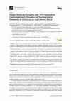 Research paper thumbnail of Single-Molecule Insights into ATP-Dependent Conformational Dynamics of Nucleoprotein Filaments of Deinococcus radiodurans RecA