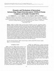 Research paper thumbnail of Dynamics and mechanisms of interactions between ring-shaped heterohexameric TIP49a/b protein complexes and double-stranded DNA