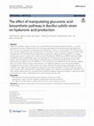 Research paper thumbnail of The effect of manipulating glucuronic acid biosynthetic pathway in Bacillus subtilis strain on hyaluronic acid production