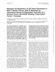 Research paper thumbnail of Estrogen Up-Regulation of p53 Gene Expression in MCF-7 Breast Cancer Cells Is Mediated by Calmodulin Kinase IV-Dependent Activation of a Nuclear Factor κB/CCAAT-Binding Transcription Factor-1 Complex