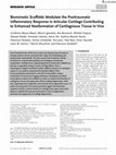 Research paper thumbnail of Biomimetic Scaffolds Modulate the Posttraumatic Inflammatory Response in Articular Cartilage Contributing to Enhanced Neoformation of Cartilaginous Tissue In Vivo (Adv. Healthcare Mater. 1/2022)