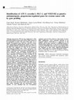 Research paper thumbnail of Identification of ATF-3, caveolin-1, DLC-1, and NM23-H2 as putative antitumorigenic, progesterone-regulated genes for ovarian cancer cells by gene profiling