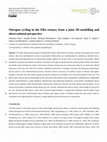 Research paper thumbnail of Nitrogen cycling in the Elbe estuary from a joint 3D-modelling and observational perspective