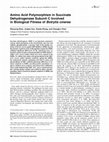 Research paper thumbnail of Amino Acid Polymorphism in Succinate Dehydrogenase Subunit C Involved in Biological Fitness of Botrytis cinerea