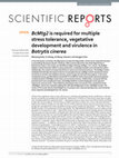 Research paper thumbnail of BcMtg2 is required for multiple stress tolerance, vegetative development and virulence in Botrytis cinerea