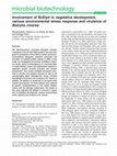 Research paper thumbnail of Involvement of BcElp4 in vegetative development, various environmental stress response and virulence of Botrytis cinerea