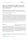 Research paper thumbnail of Marine mine tailings disposal at Lillebukt, Stjernsundet, North Norway: distribution, sedimentary processes and depositional impacts