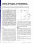 Research paper thumbnail of Evolution of heteromeric nitrilase complexes in Poaceae with new functions in nitrile metabolism