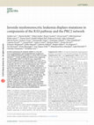 Research paper thumbnail of Juvenile myelomonocytic leukemia displays mutations in components of the RAS pathway and the PRC2 network