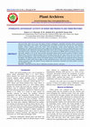 Research paper thumbnail of Synergistic Antioxidant Activity of Honey Bee Products and Their Mixtures