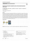 Research paper thumbnail of Spatial characterization of peptide nucleic acid molecularly imprinted inverse opal