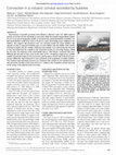 Research paper thumbnail of Convection in a volcanic conduit recorded by bubbles