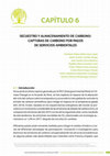 Research paper thumbnail of Secuestro y almacenamiento de carbono