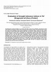 Research paper thumbnail of Evaluation of drought tolerance indices in Tef [Eragrostis tef (Zucc.)Trotter]