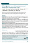 Research paper thumbnail of Effect of glutamine use on the formation of intestinal neomucosa on peritoneal surface in rats