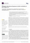 Research paper thumbnail of Endophytic Microbiome Responses to Sulfur Availability in Beta vulgaris (L.)