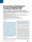 Research paper thumbnail of Reconstructing and Reprogramming the Tumor-Propagating Potential of Glioblastoma Stem-like Cells