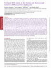 Research paper thumbnail of Permuted tRNA Genes in the Nuclear and Nucleomorph Genomes of Photosynthetic Eukaryotes