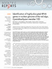 Research paper thumbnail of Identification of highly-disrupted tRNA genes in nuclear genome of the red alga, Cyanidioschyzon merolae 10D