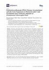 Research paper thumbnail of Polyhydroxyalkanoate (PHA) Polymer Accumulation and pha Gene Expression in Phenazine (phz-) and Pyrrolnitrin (prn-) Defective Mutants of Pseudomonas chlororaphis PA23