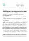 Research paper thumbnail of Potential of thin stillage as a low-cost nutrient source for direct cellulose fermentation by <i>Clostridium thermocellum</i>