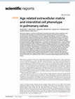 Research paper thumbnail of Age related extracellular matrix and interstitial cell phenotype in pulmonary valves