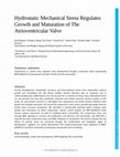 Research paper thumbnail of Hydrostatic mechanical stress regulates growth and maturation of the atrioventricular valve