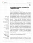 Research paper thumbnail of Naturally Engineered Maturation of Cardiomyocytes