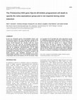 Research paper thumbnail of The Pristionchus HOX gene Ppa-lin-39 inhibits programmed cell death to specify the vulva equivalence group and is not required during vulval induction