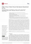 Research paper thumbnail of Culex Y Virus: A Native Virus of Culex Species Characterized In Vivo