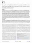 Research paper thumbnail of Drosophila C Virus Systemic Infection Leads to Intestinal Obstruction