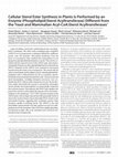 Research paper thumbnail of Cellular Sterol Ester Synthesis in Plants Is Performed by an Enzyme (Phospholipid:Sterol Acyltransferase) Different from the Yeast and Mammalian Acyl-CoA:Sterol Acyltransferases