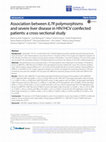 Research paper thumbnail of Association between IL7R polymorphisms and severe liver disease in HIV/HCV coinfected patients: a cross-sectional study