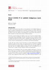 Research paper thumbnail of About COVID-19 in Laklãnõ Indigenous Land, Brazil