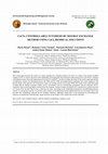 Research paper thumbnail of CaCO3 CONTROLLABLE SYNTHESIS BY DOUBLE EXCHANGE METHOD USING CaCl2 RESIDUAL SOLUTIONS