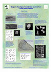 Research paper thumbnail of TURNER, S. 2002. Stages in the evolution of vertebrates: evidence from actual fossils. 