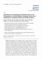 Research paper thumbnail of Identification of Carbohydrate Metabolism Genes in the Metagenome of a Marine Biofilm Community Shown to Be Dominated by Gammaproteobacteria and Bacteroidetes