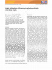 Research paper thumbnail of Light utilization efficiency in photosynthetic microbial mats