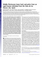 Research paper thumbnail of Middle Pleistocene lower back and pelvis from an aged human individual from the Sima de los Huesos site, Spain