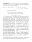 Research paper thumbnail of A Year into the Lebanon2 War NGO-ing Mizrahi-Arab Paradoxes, and a One State Vision for Palestine-Israel