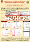 Research paper thumbnail of Los colores de la cerámica Viluco y Diaguita Chilena. Determinación de pigmentos utilizados por microespectroscopía raman y microfluorescencia de energía dispersiva de rayos X