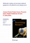 Research paper thumbnail of Ananya Nayak, Prajna Gayen, Prasanta Saini, Niladri Mukherjee & Santi