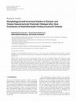 Research paper thumbnail of Morphological and Structural Studies of Titanate and Titania Nanostructured Materials Obtained after Heat Treatments of Hydrothermally Produced Layered Titanate