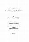 Research paper thumbnail of Comparison of light utilization efficiency in photosynthetic microbial mats